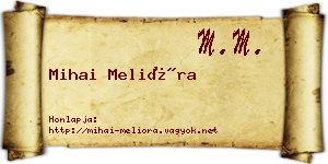 Mihai Melióra névjegykártya
